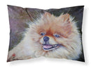 Pomeranian Head Standard Pillowcase Lightweight Super Soft Easy Care Decorative Artwork Pillowcase, Standard