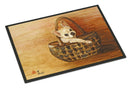 Chihuahua Take me TOO Doormat Indoor Outdoor 24H X 36W Front Door Mat Rugs for Entryway, Non Slip Washable Low Pile,