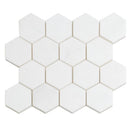 Snow White 10x12 Polished Hexagon Thassos Marble Mosaic Tile (5 pack, 4.46 sq ft/case)