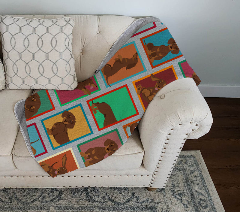 Lots of Chocolate and Tan Dachshund Quilted Blanket 50x60