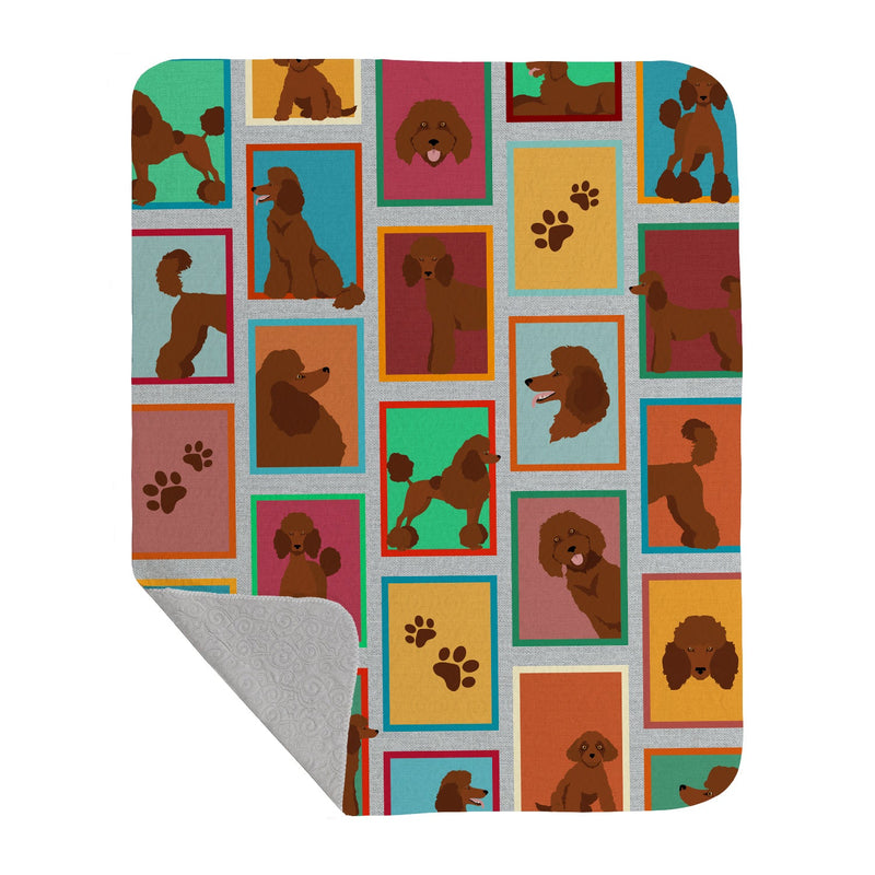 Lots of Chocolate Standard Poodle Quilted Blanket 50x60