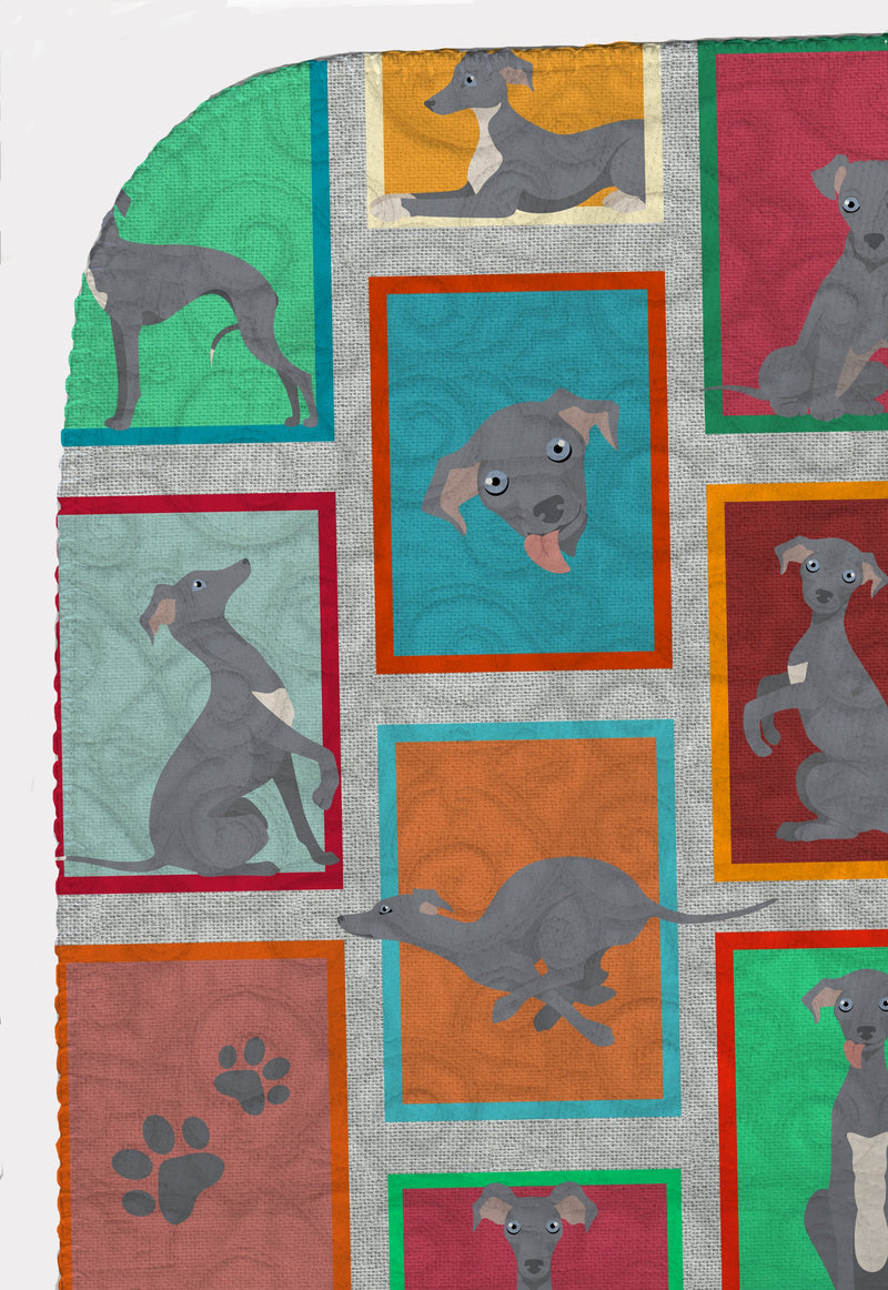 Lots of Italian Greyhound Quilted Blanket 50x60