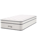 Jenna 14" Innerspring and Foam Mattress by Modway by HouseOfZazla