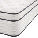 Jenna 14" Innerspring and Foam Mattress by Modway by HouseOfZazla