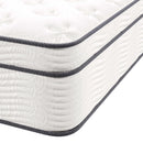 Jenna 14" Innerspring and Foam Mattress by Modway by HouseOfZazla