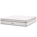 Jenna 14" Innerspring and Foam Mattress by Modway by HouseOfZazla