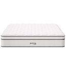 Jenna 14" Innerspring and Foam Mattress by Modway by HouseOfZazla