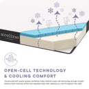 Aveline 6" Narrow Twin Mattress by Modway by HouseOfZazla