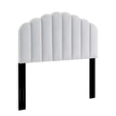 Veronique Performance Velvet Twin Headboard by Modway by HouseOfZazla