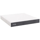 Mila 10" Memory Foam Mattress by Modway by HouseOfZazla