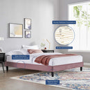 Reign Performance Velvet Twin Platform Bed Frame by Modway by HouseOfZazla