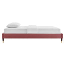 Harlow Performance Velvet Queen Platform Bed Frame by Modway by HouseOfZazla