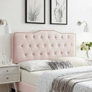 Sophia Tufted Performance Velvet Twin Headboard by Modway by HouseOfZazla