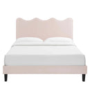 Current Performance Velvet Twin Platform Bed by Modway by HouseOfZazla