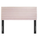 Tranquil Twin Headboard by Modway by HouseOfZazla