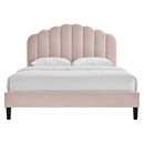 Daisy Performance Velvet Full Platform Bed by Modway by HouseOfZazla