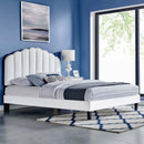 Daisy Performance Velvet Full Platform Bed by Modway by HouseOfZazla