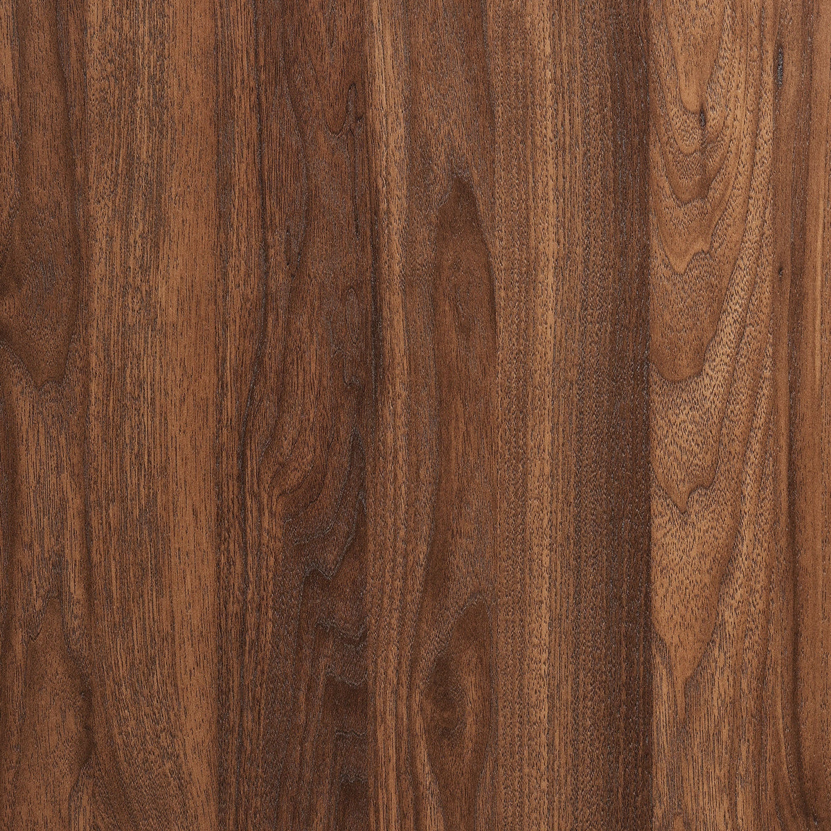 Bulwark 6-Drawer Dresser by Modway, photo 7 of 7
