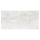 Frosted White 24x48 Polished Porcelain Large Format Tile (2 pack, 15.49 sq ft/case)