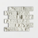 Paris Rock Face 2x6 Limestone Mosaic