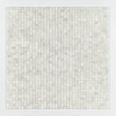 Carrara T Polished 1x1 Marble Mosaic