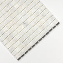 Carrara T Polished 1x1 Marble Mosaic