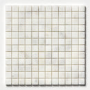 Carrara T Polished 1x1 Marble Mosaic