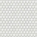 Alpina White Polished Hexagon Marble Mosaic