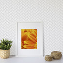 Thassos Honed Herringbone Marble Mosaic