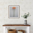 Calacatta Cremo Honed Hexagon Marble Mosaic