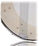Popcorn Snare Drum by GRIFFIN - Soprano Firecracker 10" x 6" Poplar Wood Shell with Hickory PVC - Concert Percussion Musical Instrument Drummers Key