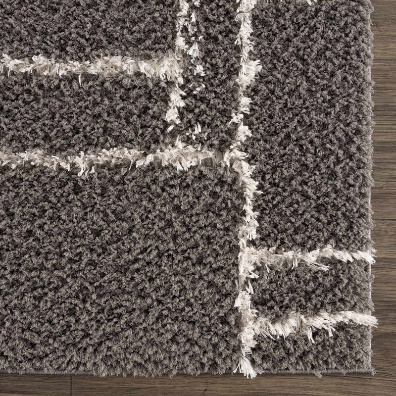 Andia Charcoal Area Rug