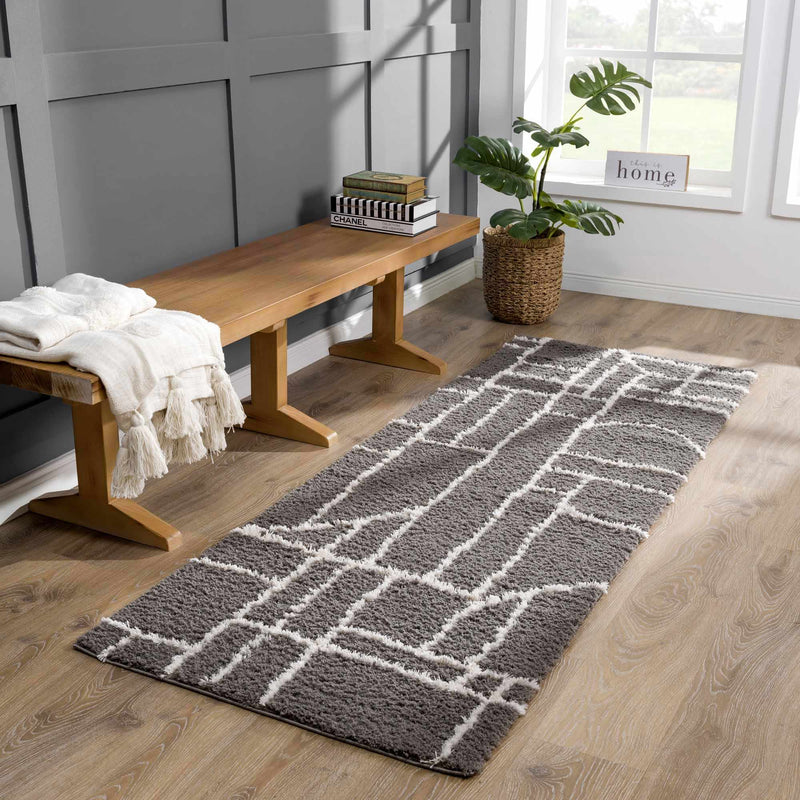 Andia Charcoal Area Rug