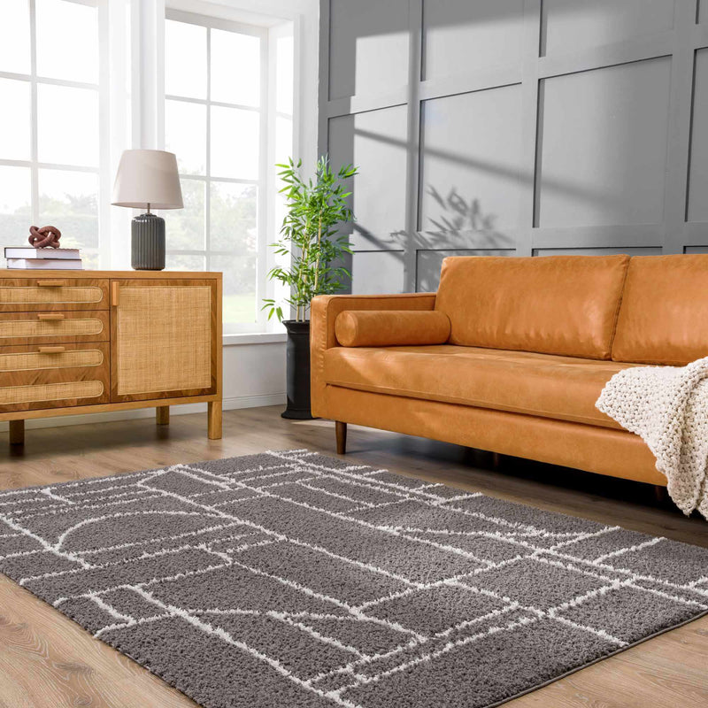 Andia Charcoal Area Rug