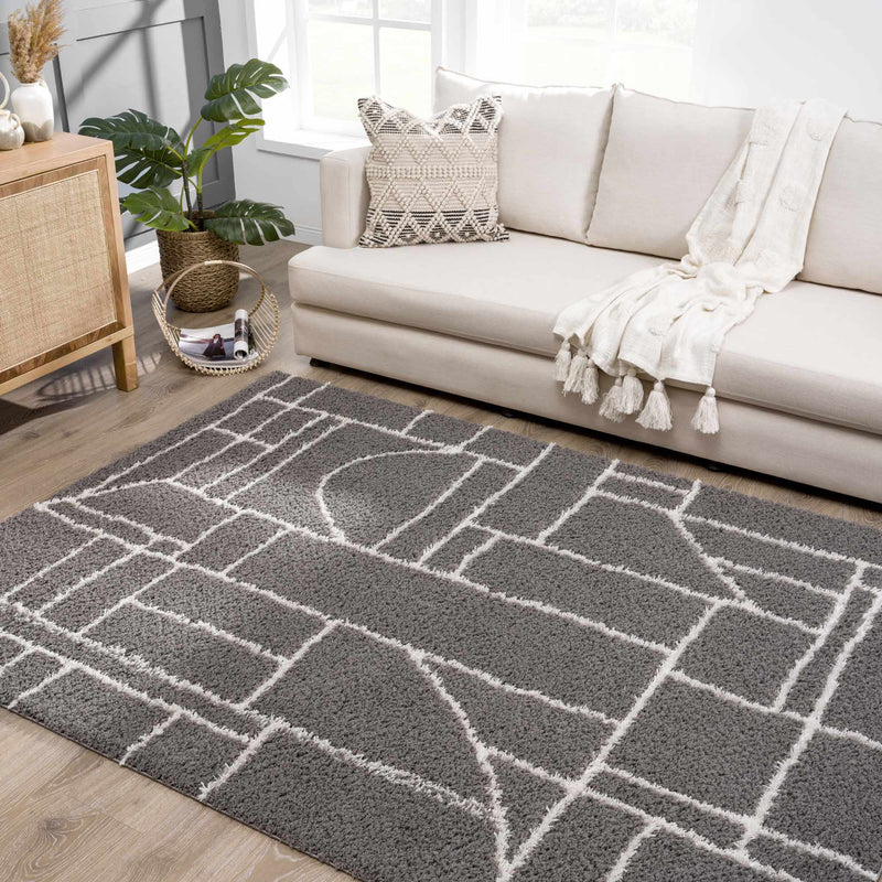 Andia Charcoal Area Rug