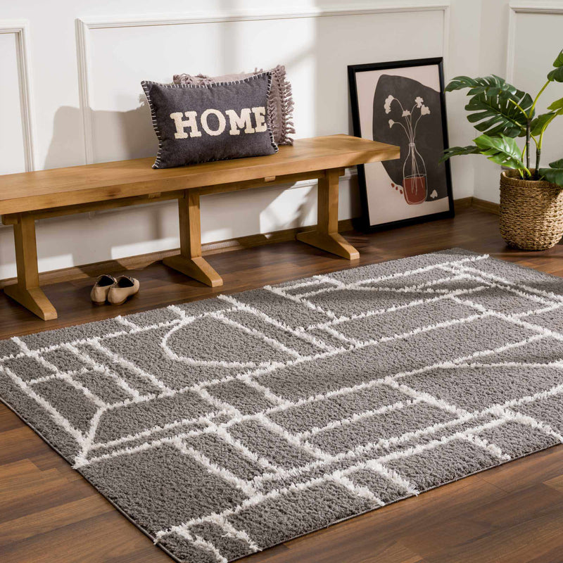 Andia Charcoal Area Rug