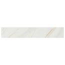 MSI Pietra Calacatta Porcelain Bullnose 3"x18"