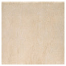 MSI Arterra Tierra Beige Matte Porcelain Pool Coping 13"x24"