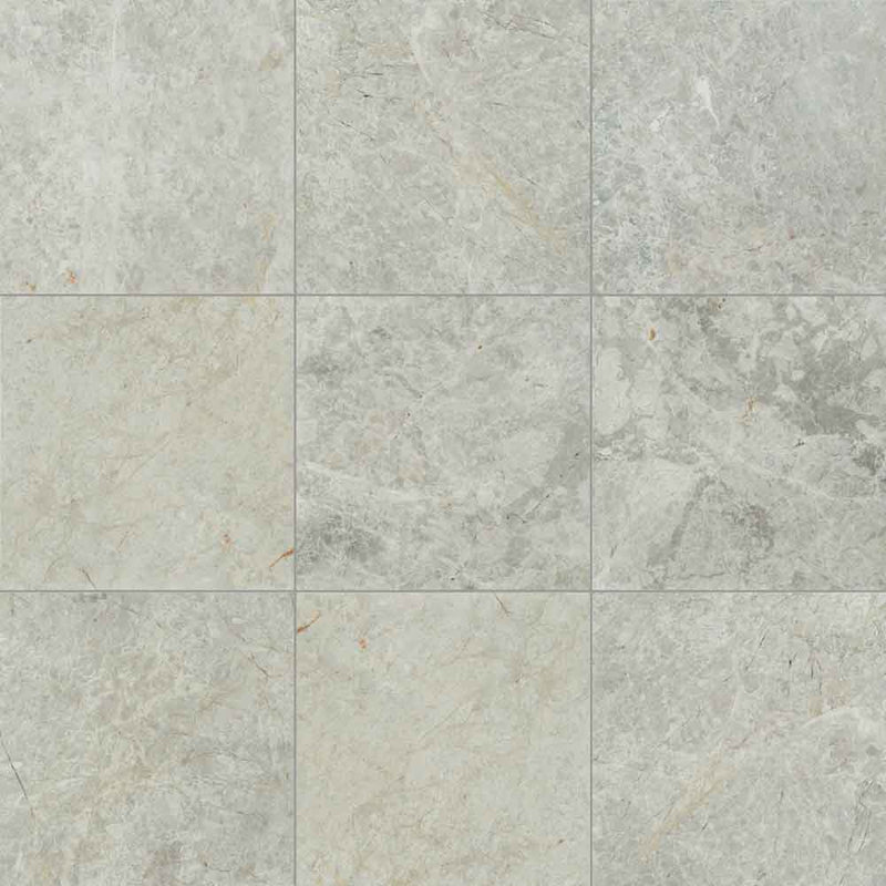 MSI Tundra Gay Polished Marble Wall and Floor Tile