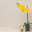 MSI Urbano 3D Mix Glossy Ceramic Subway Tile 4"x12"