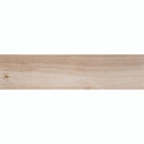 MSI Havenwood Beige Porcelain Wall and Floor Tile