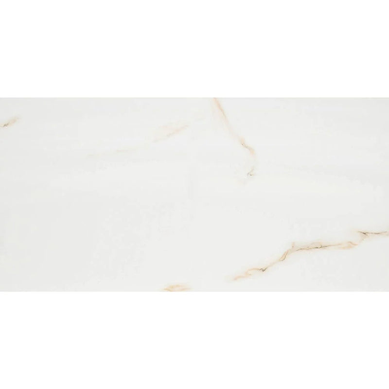 MSI Aria Bianco Porcelain Wall and Floor Tile