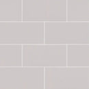 MSI Gray Glossy Ceramic Subway Tile - Domino Collection