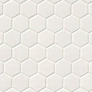 MSI White Hexagon Porcelain Mosaic Tile - Domino Collection