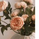 Artificial Sophia 2-Head Peony Stem 20.8" Tall