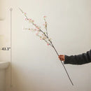 Blushing Cherry Blossom Branch 43.3" Tall