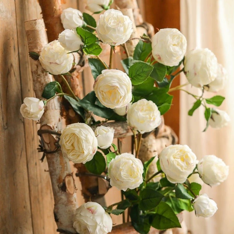 White Cabbage Rose Stem 20.8" Tall, photo 5 of 9