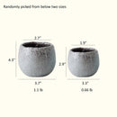 Crackle Glazed Succulent Pot Randomly Picked Set of 5