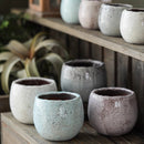 Crackle Glazed Succulent Pot Randomly Picked Set of 5