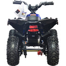 36V 1.0 kW Lead Acid ATV